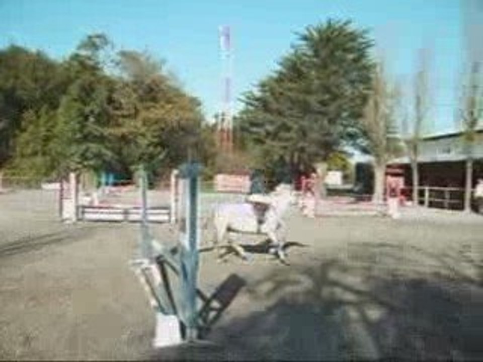 CSO au platane