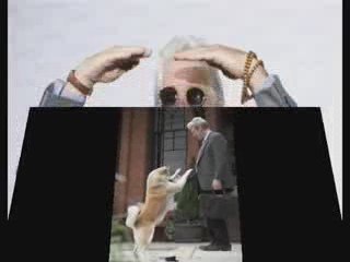 Hachiko - A dog story con Richard Gere al RomaCinemaFest