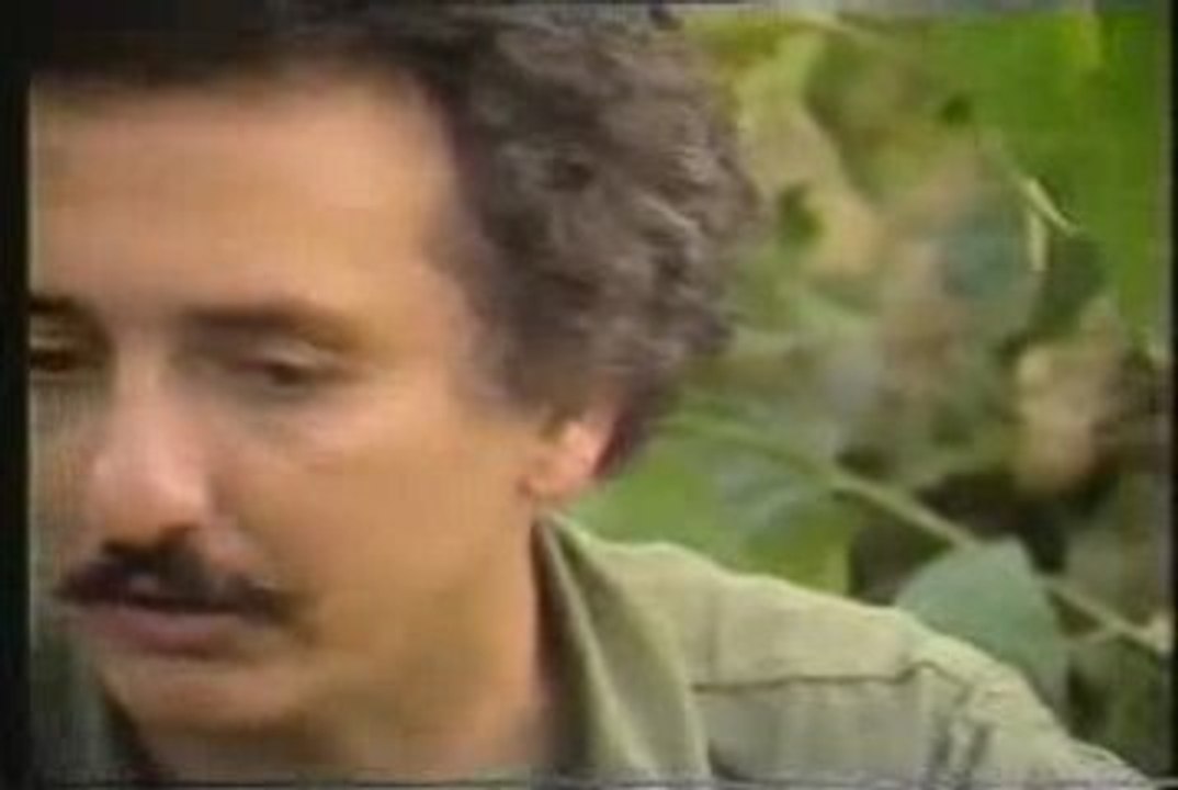 Bateman en la selva (2)