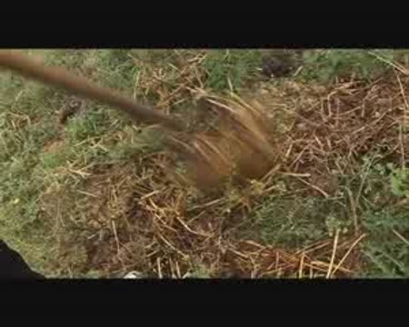 15 - Les potagers de Marcoussis