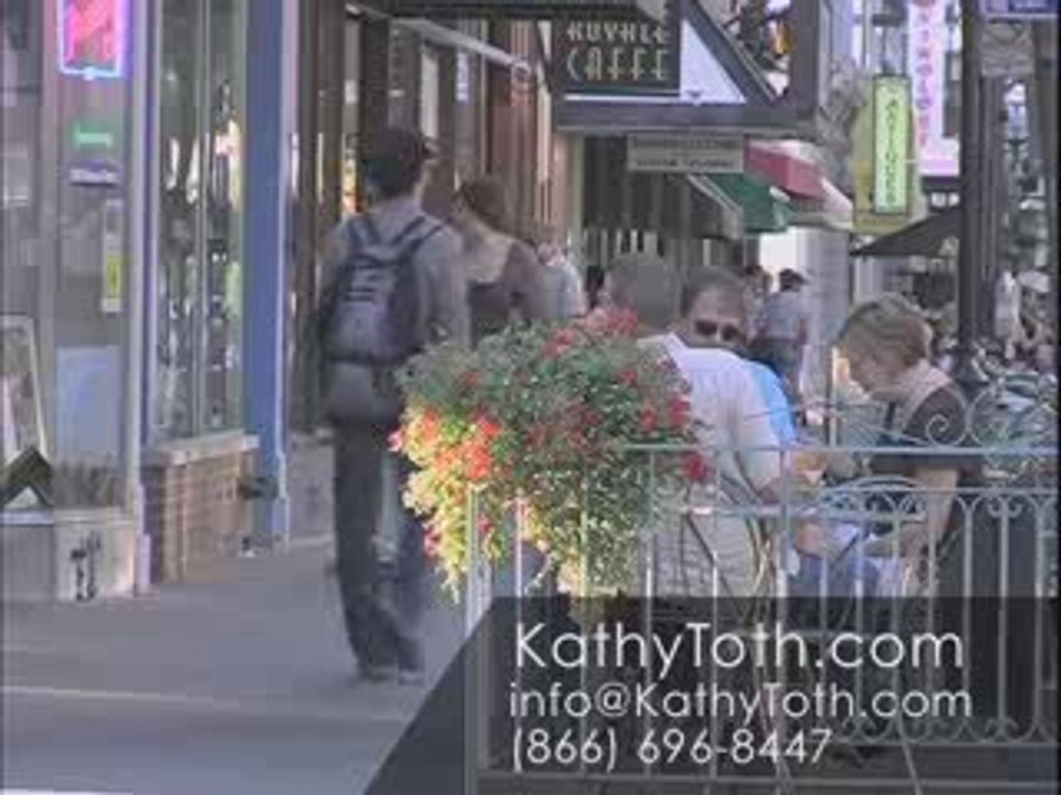 Liberty Lofts Ann Arbor, MI 48103