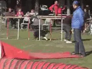 CDF australiens thémis jump