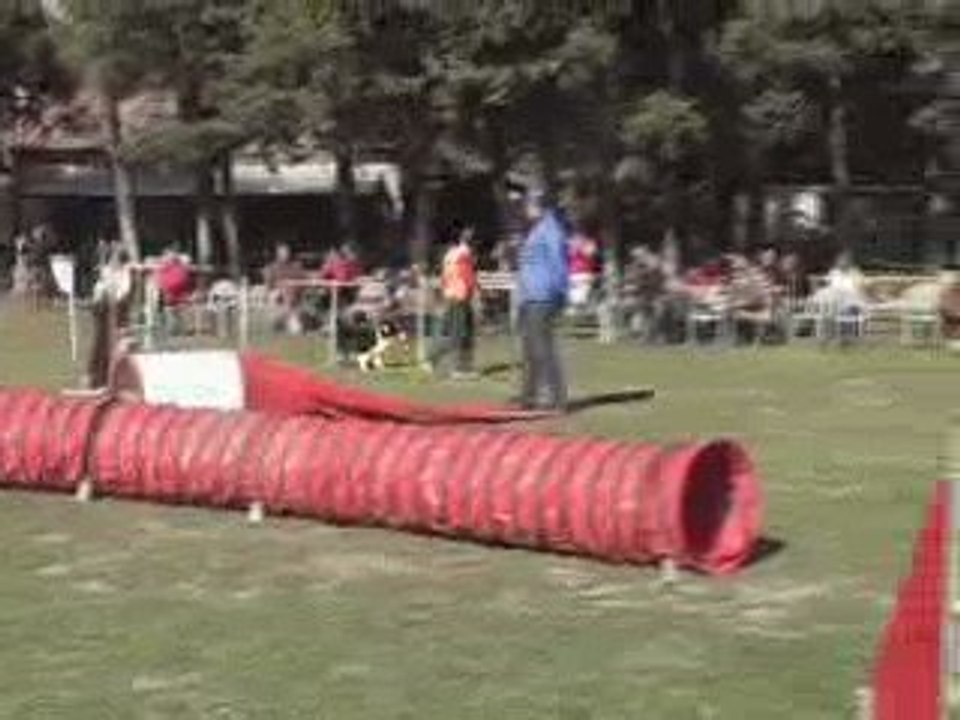 CDF australiens sandy jump tri