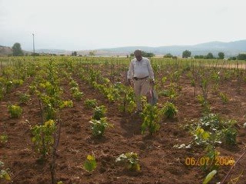 TOKAT NİKSAR GÖZPINAR KÖYÜ