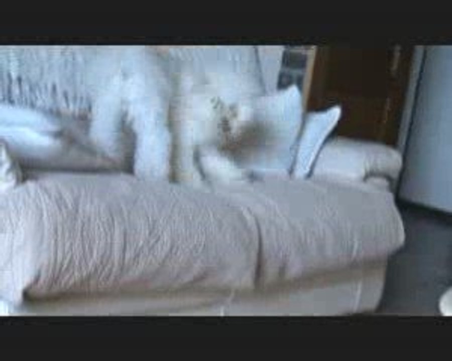 Gribouille et son nonos