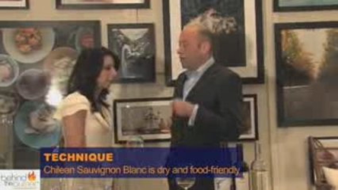 The Icon Wines of Chile with Michael Green at Gourmet ...