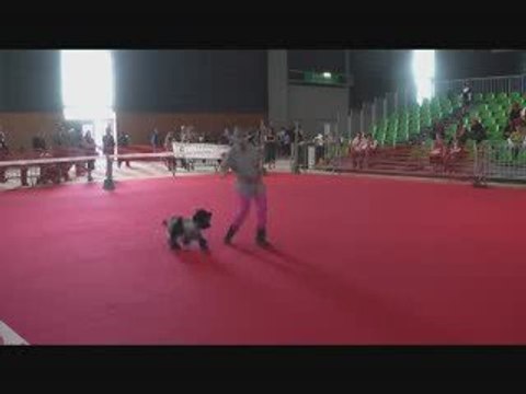 c'ven et mc 2e passage