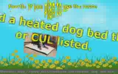 Heated Dog Bed Buying Guide - Tips to Help You Decide on the