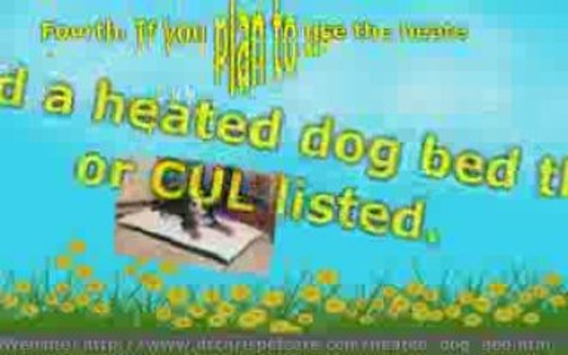 Heated Dog Bed Buying Guide - Tips to Help You Decide on the