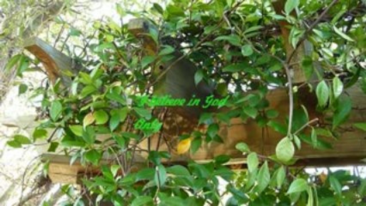 Nature lover's lament