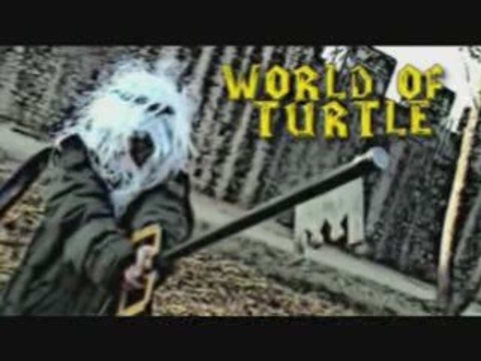Introduction World of Turtle