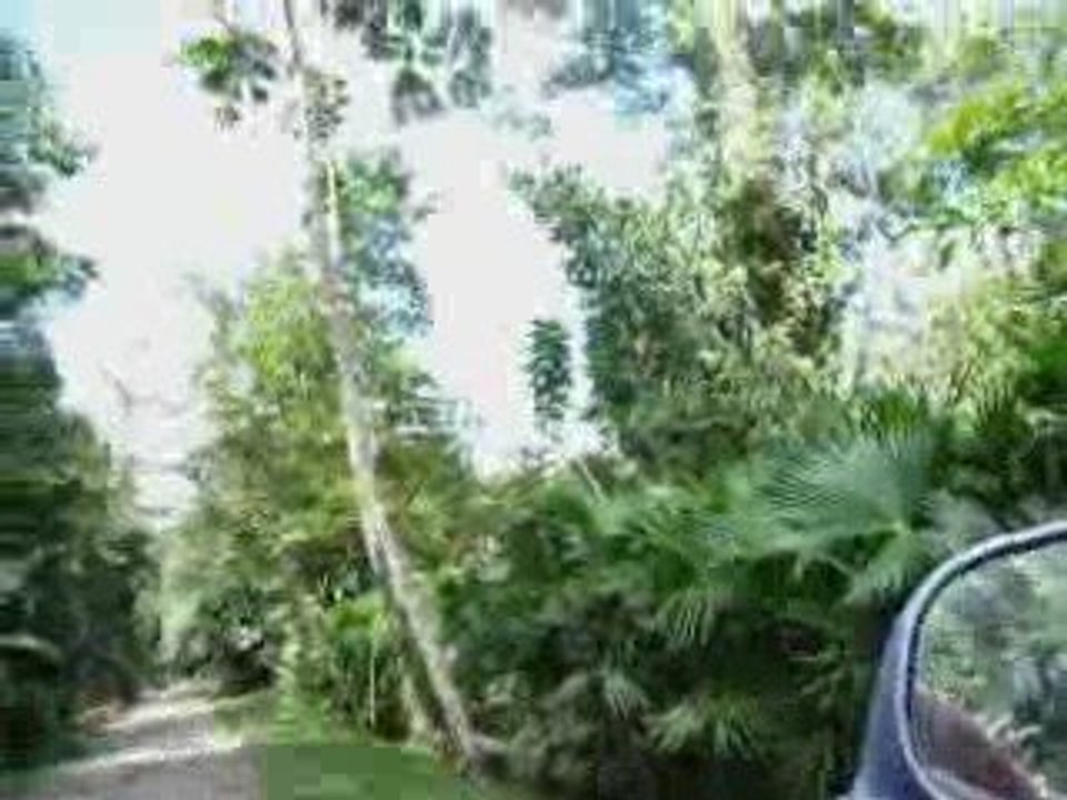 Pura Vida - Montage San José / Volcan Arenal / Caraïbes