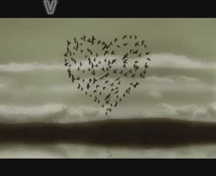 Yildiz Ve Yaşar Seni Severdim 2009