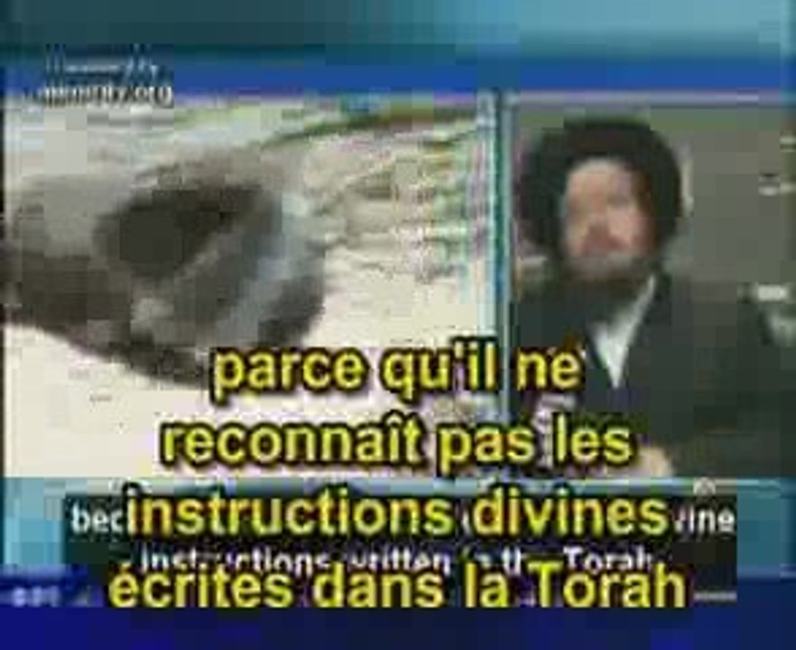 Juif de Néturei Karta contre le sionisme (palestine israel)