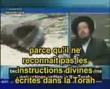 Juif de Néturei Karta contre le sionisme (palestine israel)