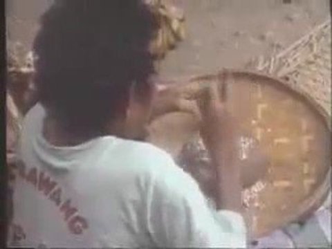 Les plus grosses couilles du monde