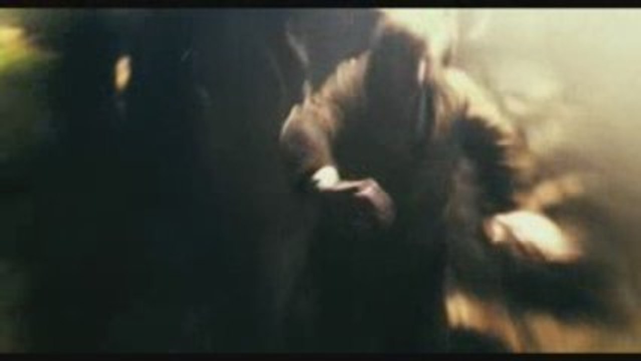 The Wolfman - Trailer 2