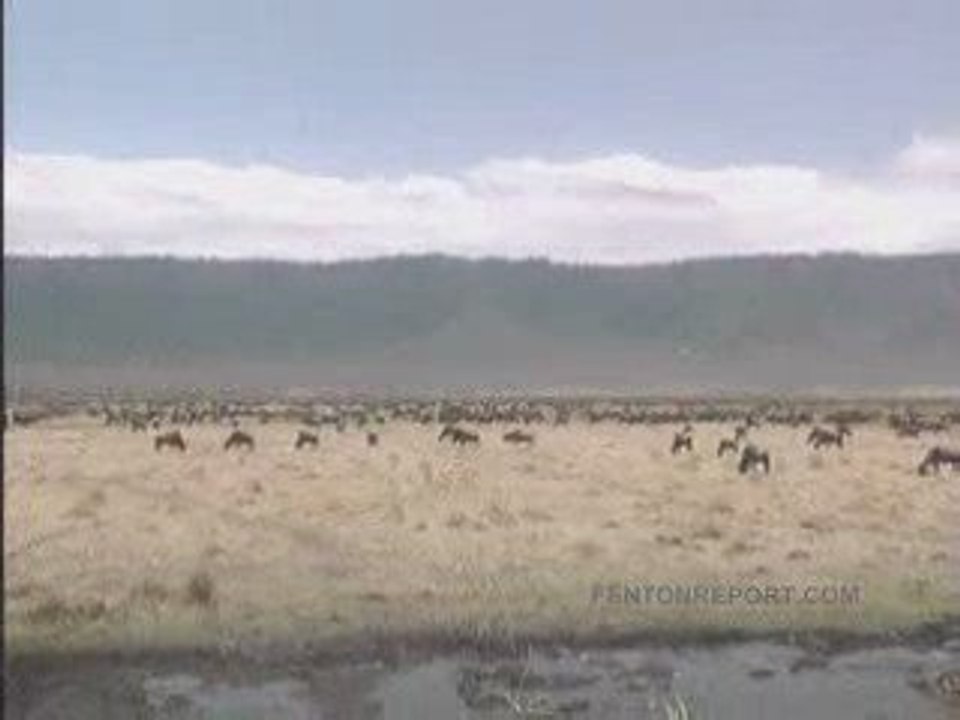 Tanzania Ngorongoro Crater Jim Rogers and Paige Parker