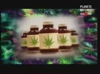 Experience Cannabis partie 4