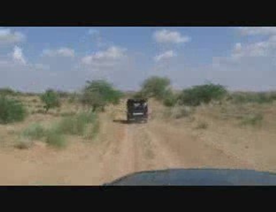 Désert du Manvar - Safari