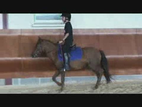 Centre Equestre les Ecuries du Relais Hérault Fabrègues