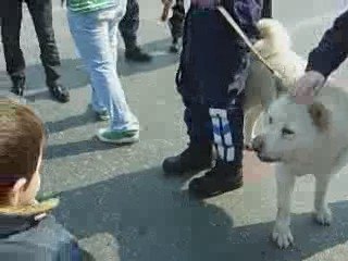 Tufan Ve Polis Köpeği