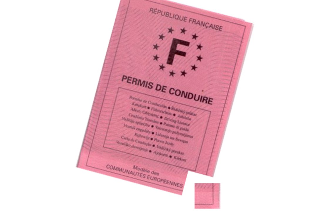 Permis à Points. Quel sont les recours après invalidation ?