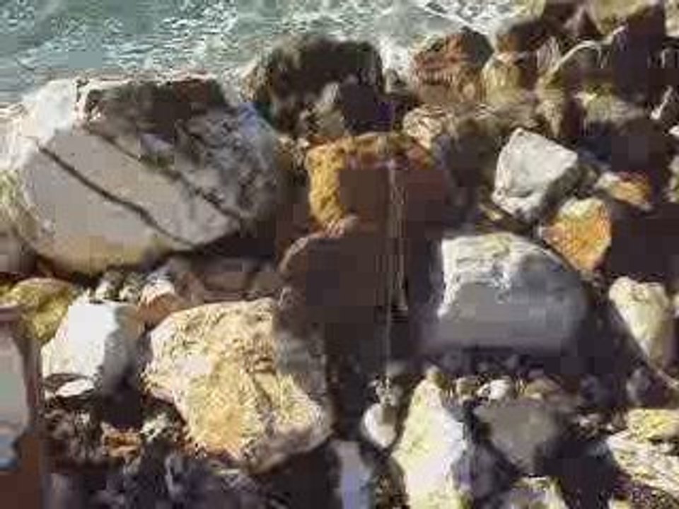 efehunter35- 22-10-2009 balık avım