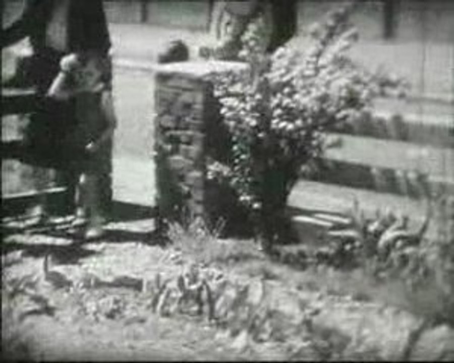 1953, Min Cousin