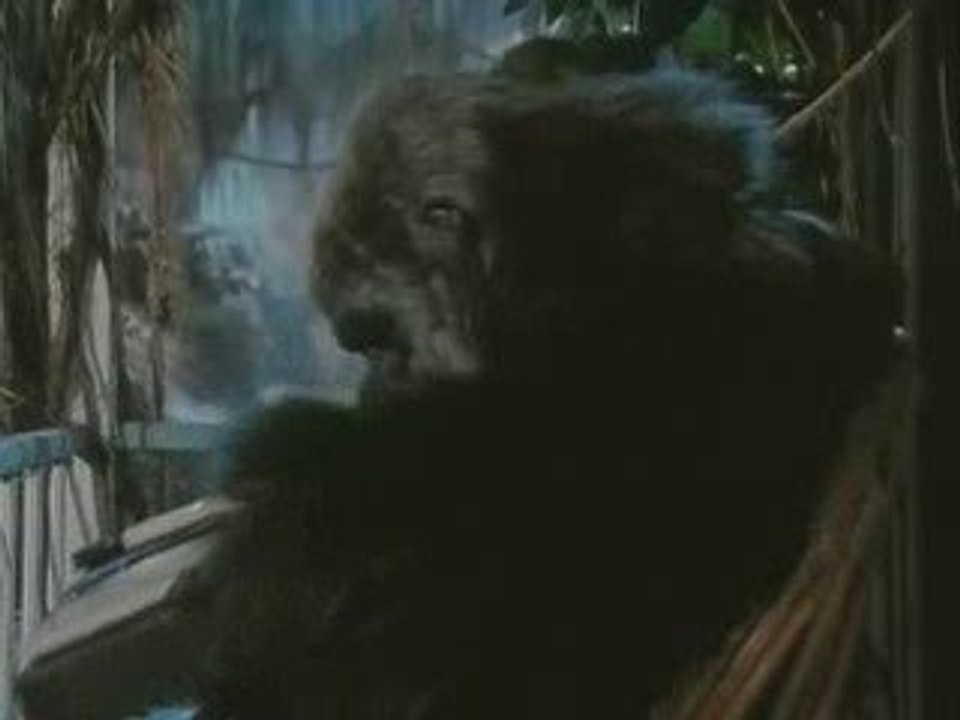 Morale de Singe