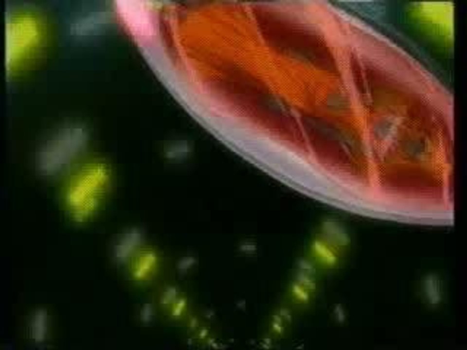DAFT PUNK - HARDER BETTER