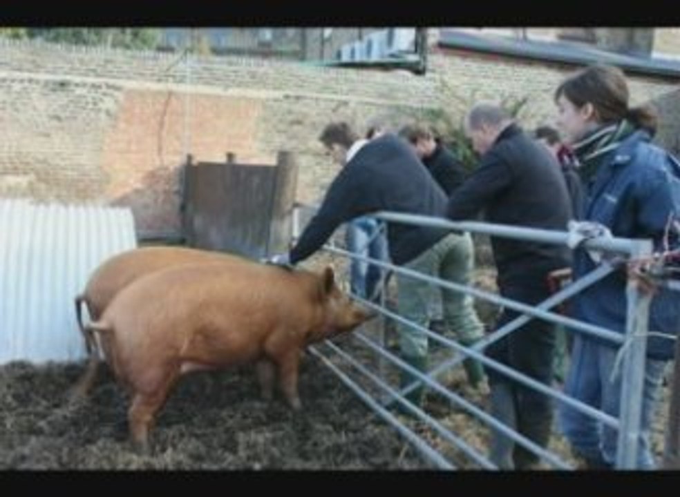 Powerday_Hackney_Farm