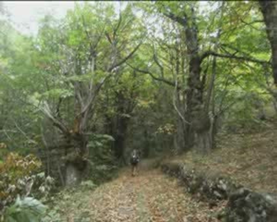 video stevenson 2009