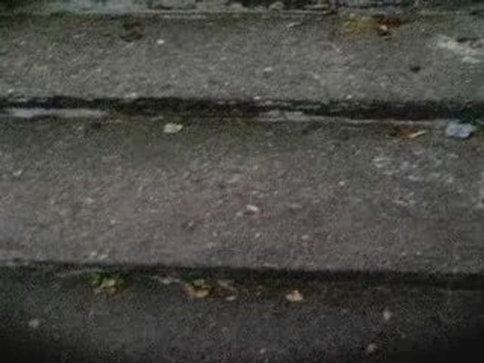 les sens de la vie