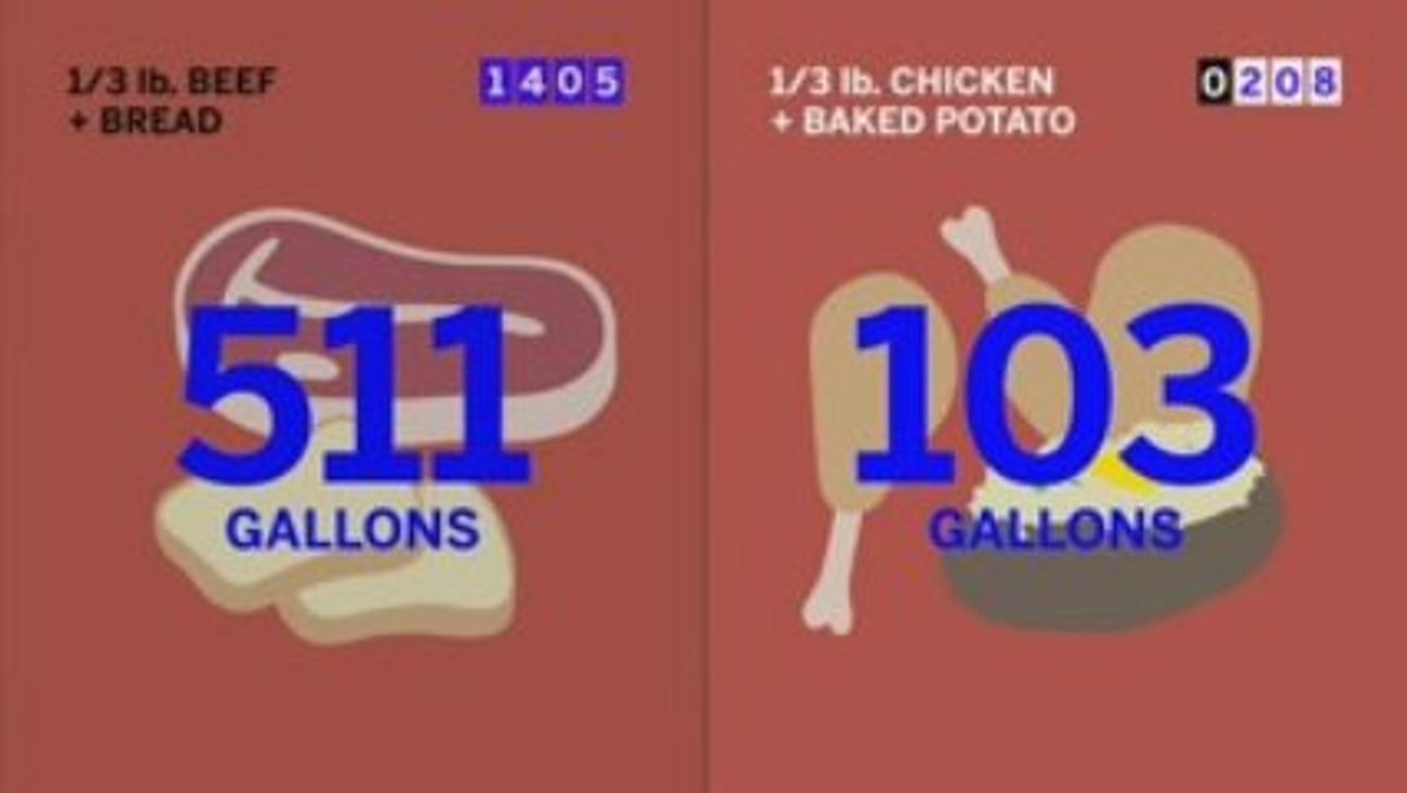 GOOD Transparency: Water Conservation