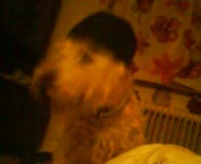 Ska ha kepan på sig!