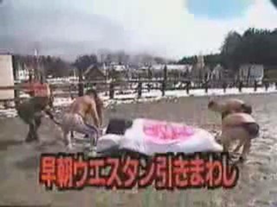 Fous ces Japonais,Caméra Cachée