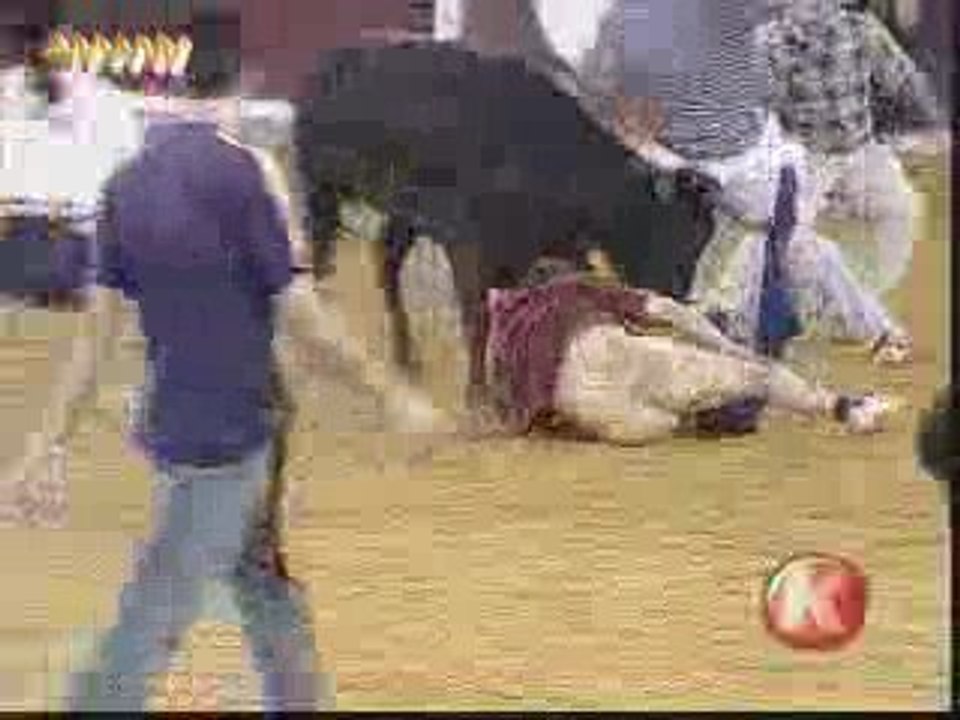 El__espa%F1ol