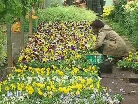 Le chantier d'insertion des Restos du Coeur (Trélazé)