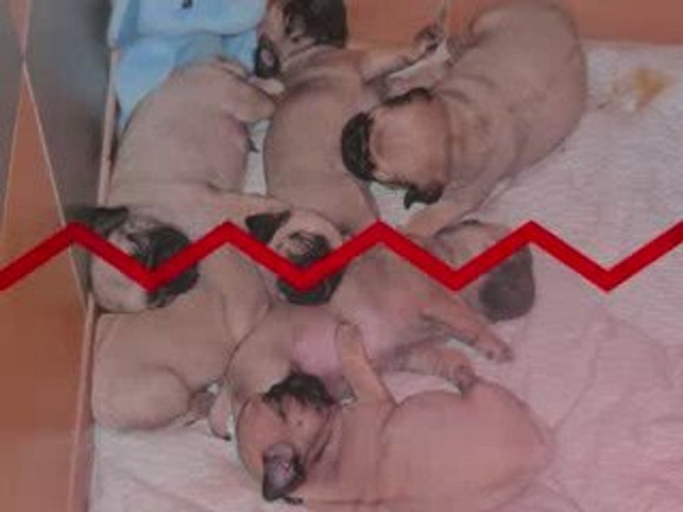 LES bébés de ZOE deja 1MOIS