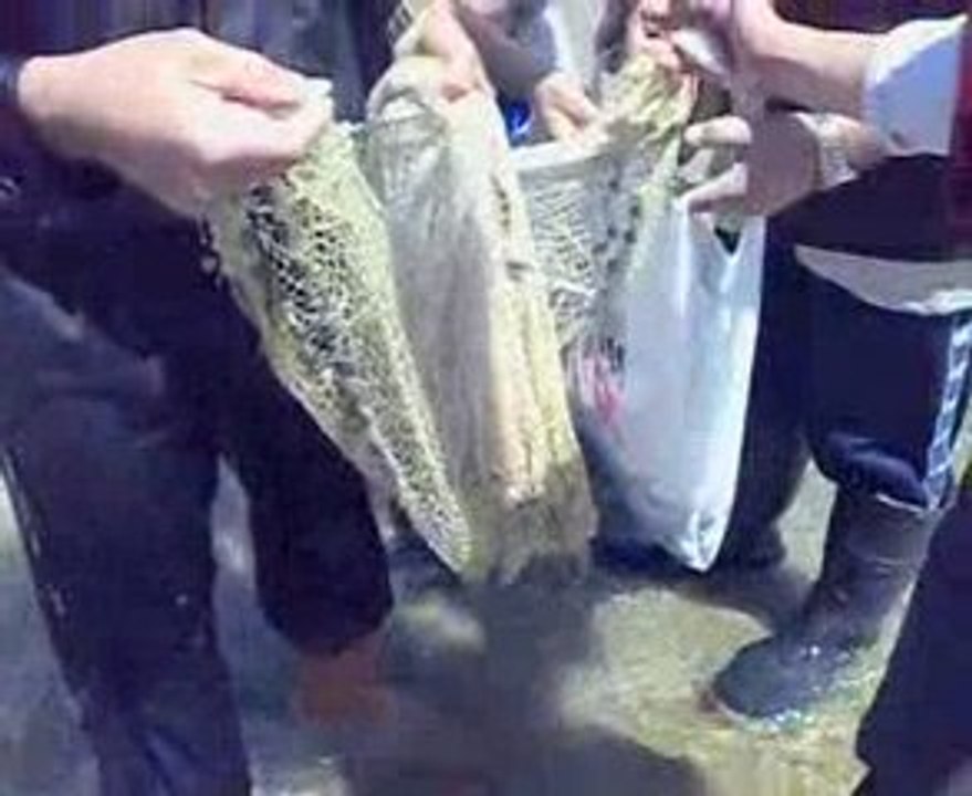 Gölçayır Köyü Avcıları-3