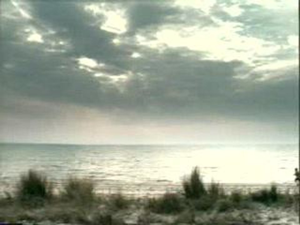 Si la mer
