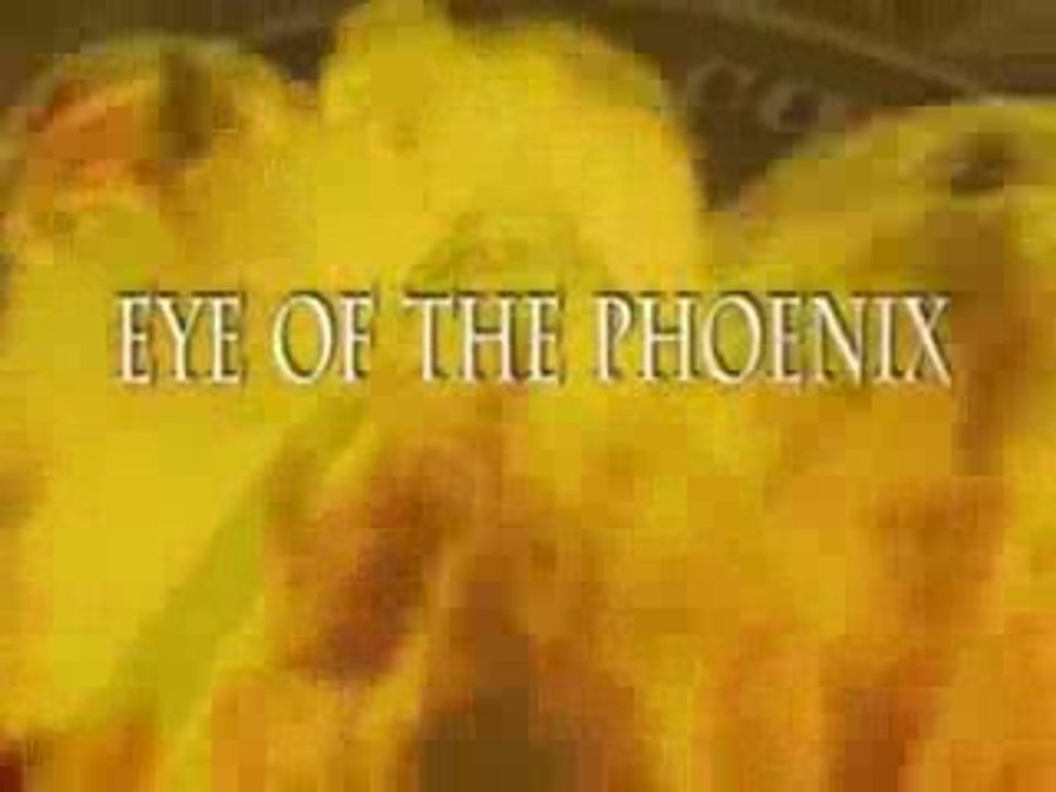 Eye of the phoenix_1 of 9