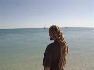 15 10 2009 - Monkey Mia's dolphins playing