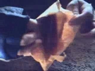 points2shop prize opening