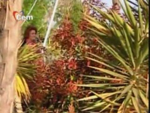 Selda Bağcan-Dön Gel Bir Tanem WwW.AhmetKayaSesli.CoM AMED