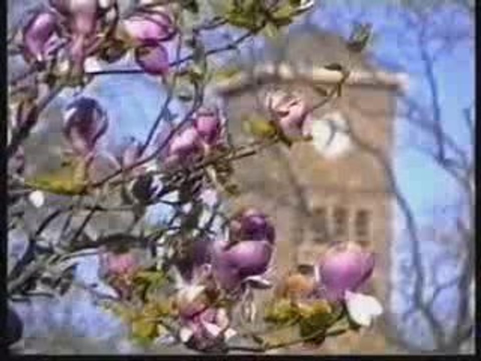 Bo-Pabo sur Hagondange