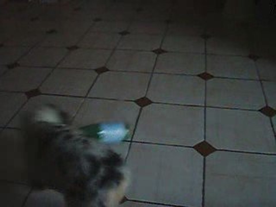 Estive découvre la bouteille