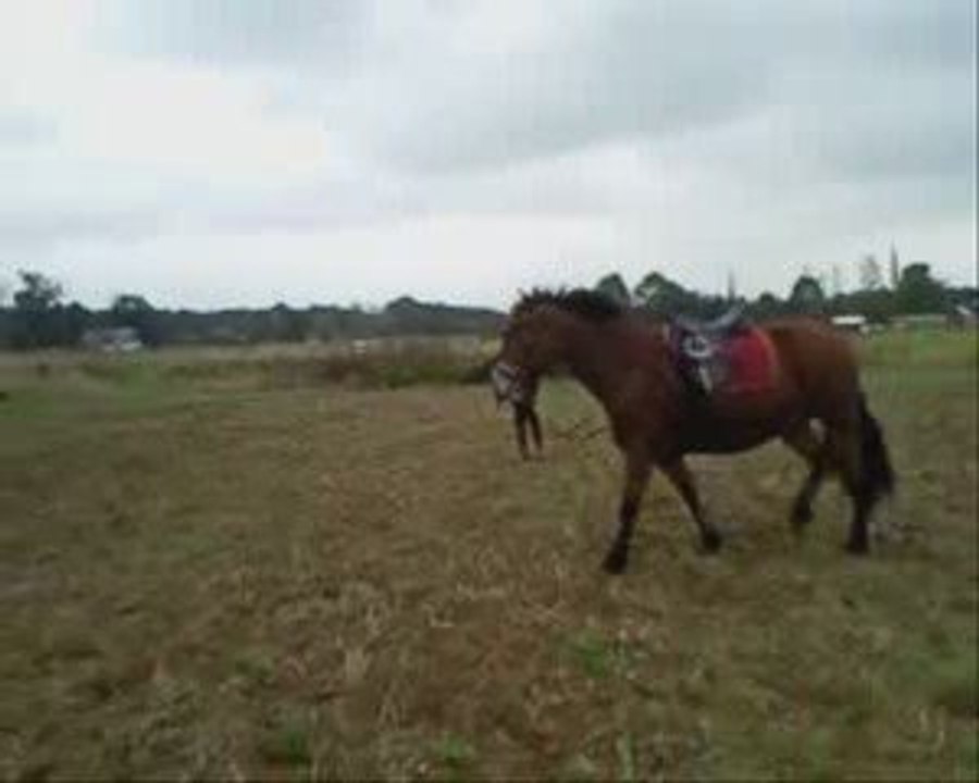 octobre16 2009 1er cours longé mirage