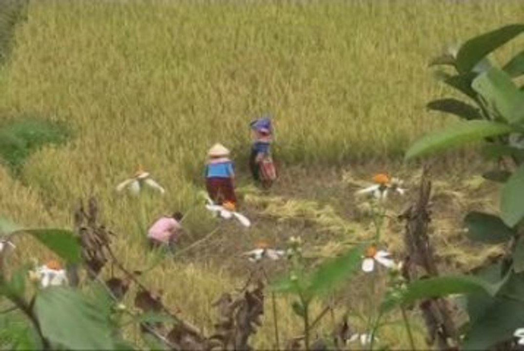 Pour tout l'or du Mekong